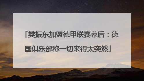 樊振东加盟德甲联赛幕后：德国俱乐部称一切来得太突然