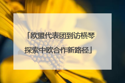 欧盟代表团到访横琴 探索中欧合作新路径