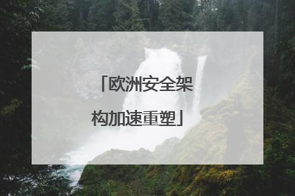 欧洲安全架构加速重塑