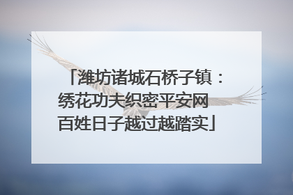 潍坊诸城石桥子镇：绣花功夫织密平安网 百姓日子越过越踏实