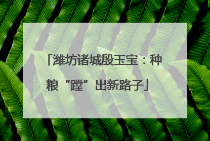 潍坊诸城殷玉宝：种粮“蹚”出新路子