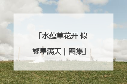 水蕴草花开 似繁星满天｜图集