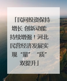 民间投资保持增长 创新动能持续增强！河北民营经济发展实现“量”“质”双提升