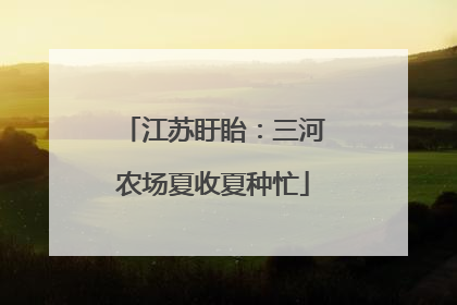 江苏盱眙：三河农场夏收夏种忙