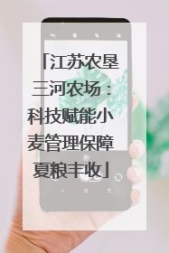 江苏农垦三河农场：科技赋能小麦管理保障夏粮丰收
