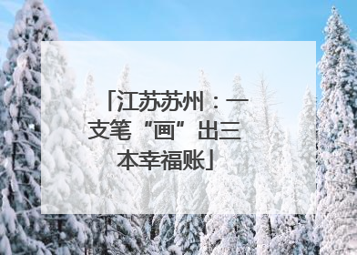江苏苏州：一支笔“画”出三本幸福账