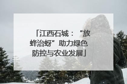 江西石城：“放蜂治蚜”助力绿色防控与农业发展
