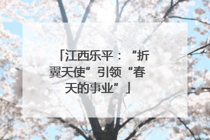 江西乐平：“折翼天使”引领“春天的事业”