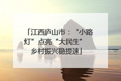 江西庐山市：“小路灯”点亮“大民生” 乡村振兴稳提速