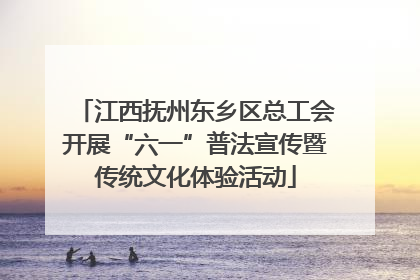 江西抚州东乡区总工会开展“六一”普法宣传暨传统文化体验活动