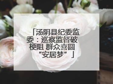 汤阴县纪委监委：巡察监督破梗阻 群众喜圆“安居梦”