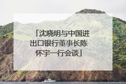 沈晓明与中国进出口银行董事长陈怀宇一行会谈