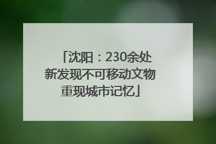 沈阳：230余处新发现不可移动文物重现城市记忆