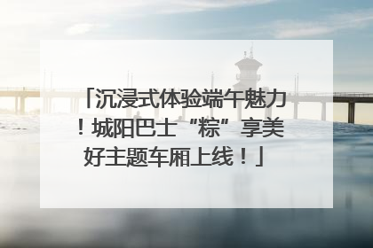 沉浸式体验端午魅力！城阳巴士“粽”享美好主题车厢上线！