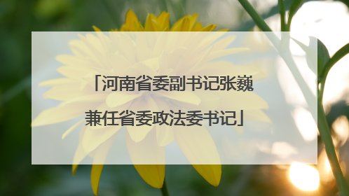河南省委副书记张巍兼任省委政法委书记