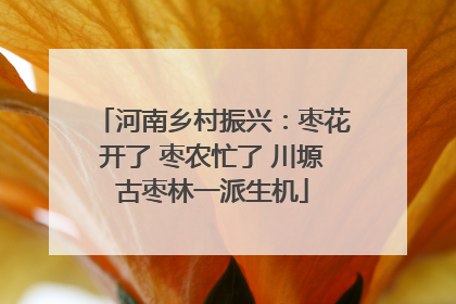 河南乡村振兴：枣花开了 枣农忙了 川塬古枣林一派生机
