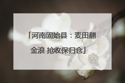 河南固始县：麦田翻金浪 抢收保归仓