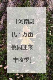河南尉氏：万亩桃园迎来丰收季