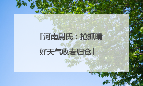 河南尉氏：抢抓晴好天气收麦归仓