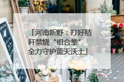 河南新野：打好秸秆禁烧“组合拳” 全力守护蓝天沃土