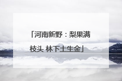 河南新野：梨果满枝头 林下土生金