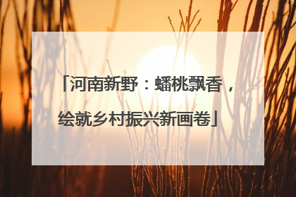 河南新野：蟠桃飘香，绘就乡村振兴新画卷
