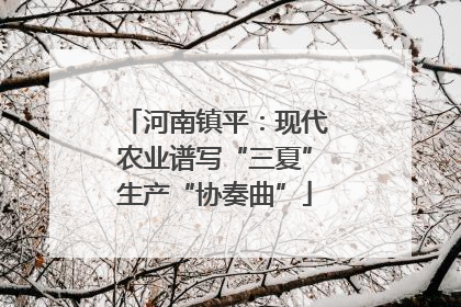 河南镇平：现代农业谱写“三夏”生产“协奏曲”