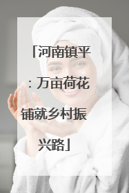河南镇平：万亩荷花铺就乡村振兴路