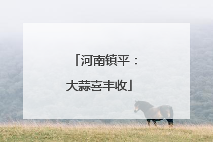 河南镇平：大蒜喜丰收