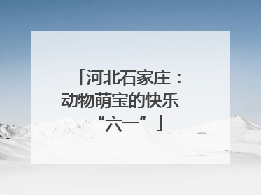 河北石家庄：动物萌宝的快乐“六一”