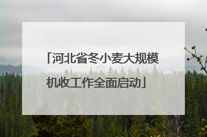 河北省冬小麦大规模机收工作全面启动