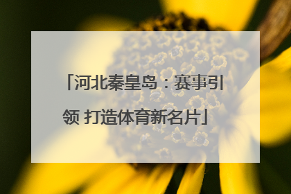 河北秦皇岛：赛事引领 打造体育新名片