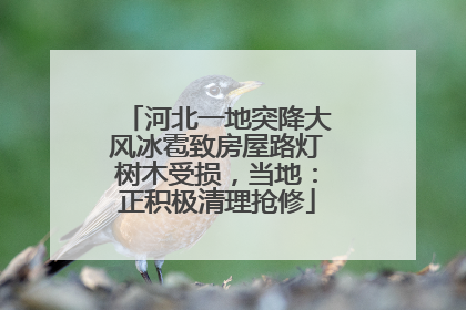 河北一地突降大风冰雹致房屋路灯树木受损，当地：正积极清理抢修
