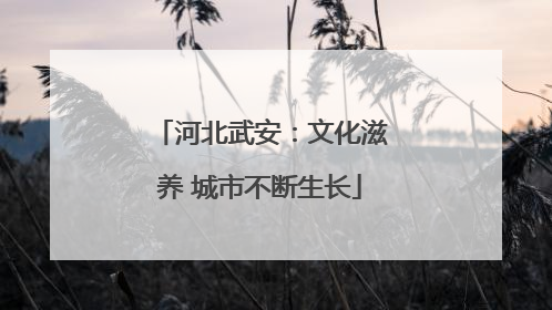 河北武安：文化滋养 城市不断生长