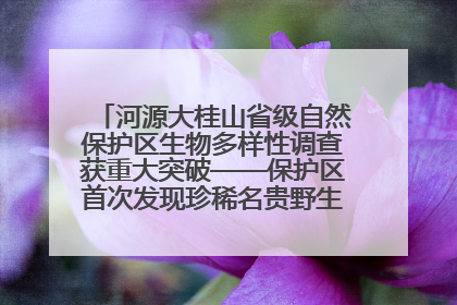 河源大桂山省级自然保护区生物多样性调查获重大突破——保护区首次发现珍稀名贵野生干巴菌与钝尾两头蛇
