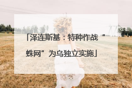 泽连斯基：特种作战“蛛网”为乌独立实施