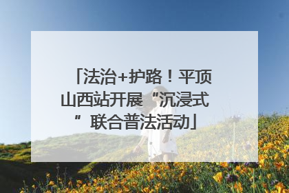 法治+护路！平顶山西站开展“沉浸式”联合普法活动