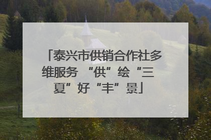 泰兴市供销合作社多维服务 “供”绘“三夏”好“丰”景
