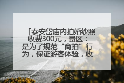 泰安岱庙内拍婚纱照收费300元，景区：是为了规范“商拍”行为，保证游客体验，收取费用全部上交国库