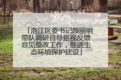 洛江区委书记颜丽明带队调研督导巡视反馈意见整改工作，推进生态环境保护建设