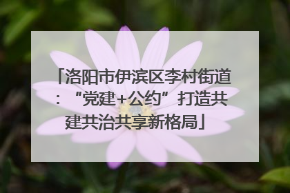 洛阳市伊滨区李村街道：“党建+公约”打造共建共治共享新格局