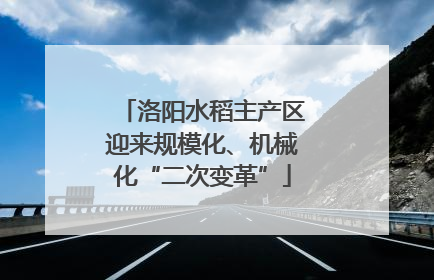 洛阳水稻主产区迎来规模化、机械化“二次变革”