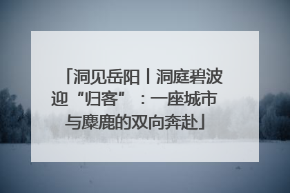 洞见岳阳丨洞庭碧波迎“归客”：一座城市与麋鹿的双向奔赴