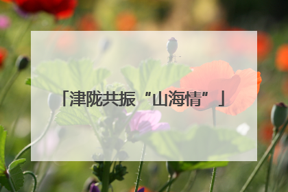 津陇共振“山海情”