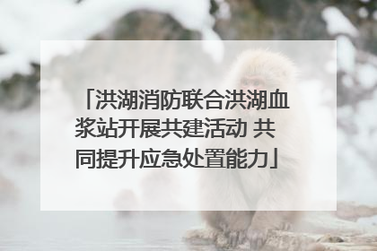 洪湖消防联合洪湖血浆站开展共建活动 共同提升应急处置能力