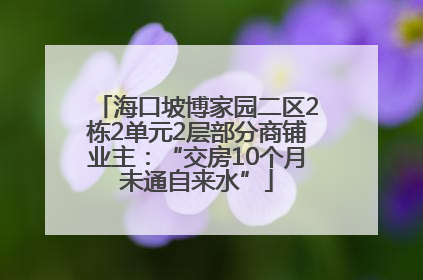 海口坡博家园二区2栋2单元2层部分商铺业主：“交房10个月未通自来水”