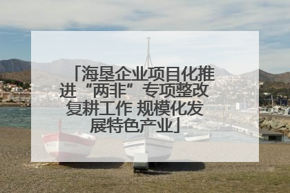 海垦企业项目化推进“两非”专项整改复耕工作 规模化发展特色产业