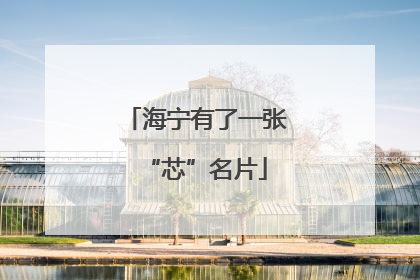 海宁有了一张“芯”名片
