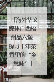 海外华文媒体广西梧州品六堡 探寻千年茶香里的“乡愁味”