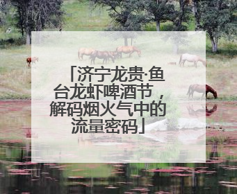 济宁龙贵·鱼台龙虾啤酒节，解码烟火气中的流量密码